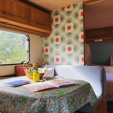 Aurinko : Caravane Avec Bain Nordique