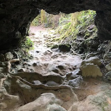 Maison d'hôtes Aurinko : Caravane Avec Bain Nordique *