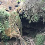 Aurinko : Caravane Avec Bain Nordique Roquefort-Les-Cascades