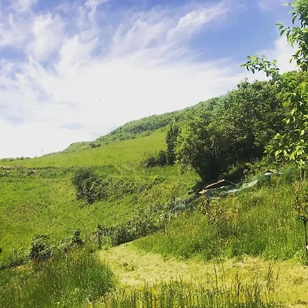 Aurinko : Caravane Avec Bain Nordique Maison d'hôtes Roquefort-Les-Cascades