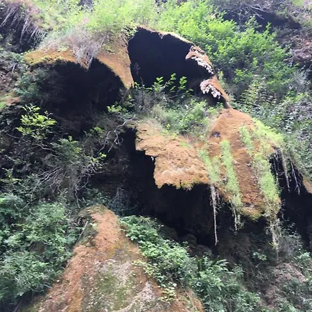 Aurinko : Caravane Avec Bain Nordique