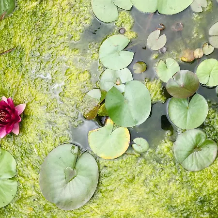 Aurinko : Caravane Avec Bain Nordique ゲストハウス 3*