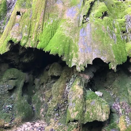 Aurinko : Caravane Avec Bain Nordique ゲストハウス 3*