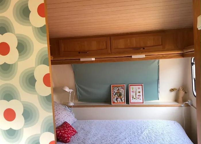 Aurinko : Caravane Avec Bain Nordique