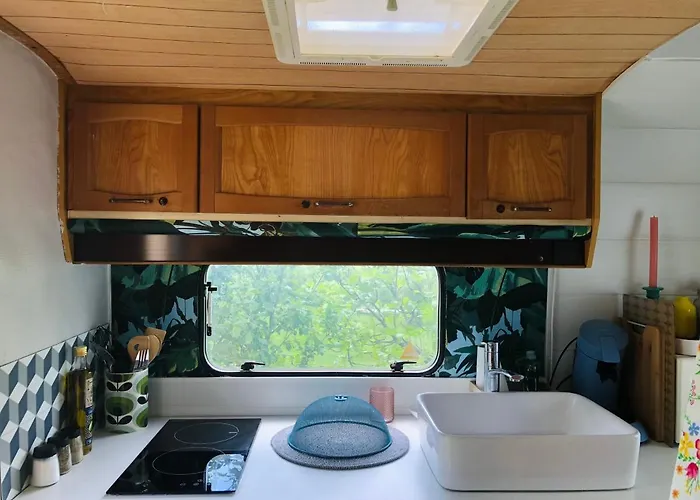 Aurinko : Caravane Avec Bain Nordique Gasthuis