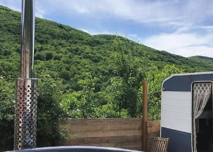 Gasthuis Aurinko : Caravane Avec Bain Nordique 3*