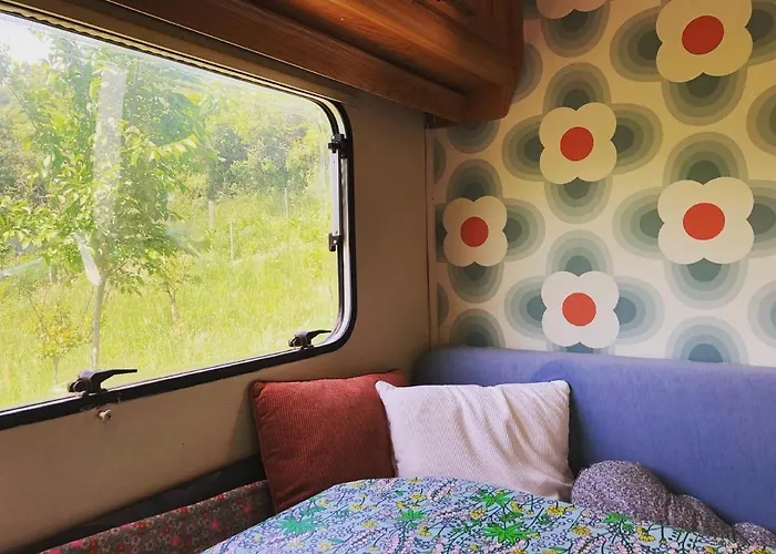 Aurinko : Caravane Avec Bain Nordique Gasthuis Roquefort-Les-Cascades