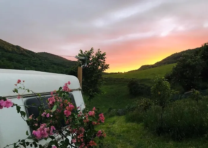 Aurinko : Caravane Avec Bain Nordique 3*