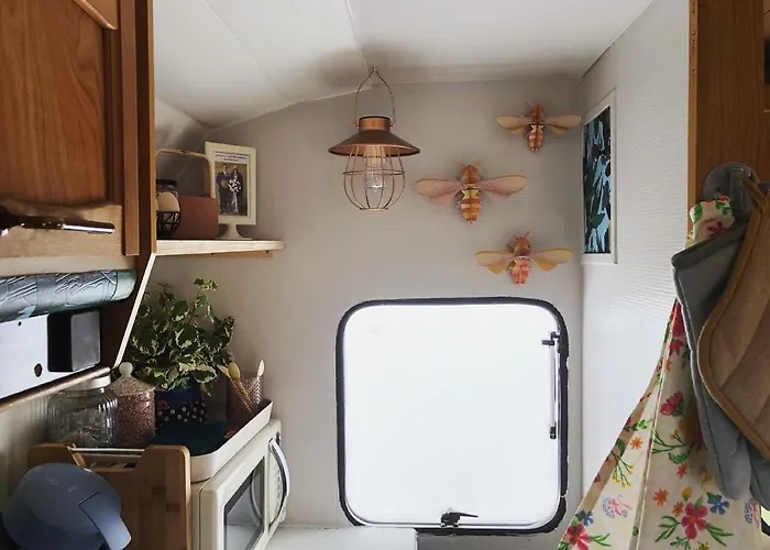 Aurinko : Caravane Avec Bain Nordique Gasthuis 3*