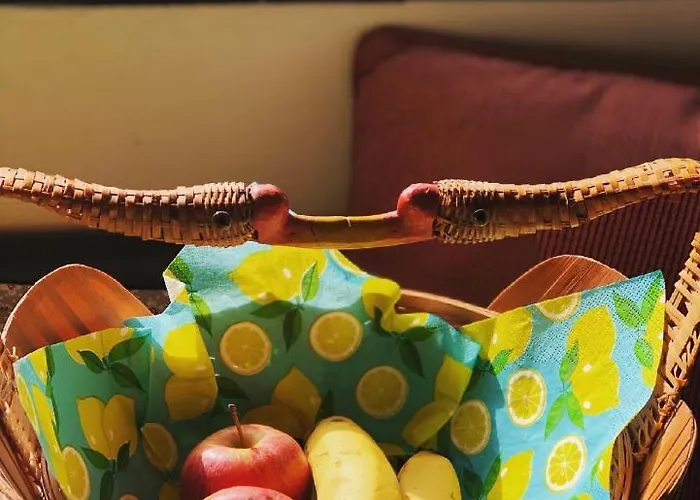 Gasthuis Aurinko : Caravane Avec Bain Nordique Roquefort-Les-Cascades