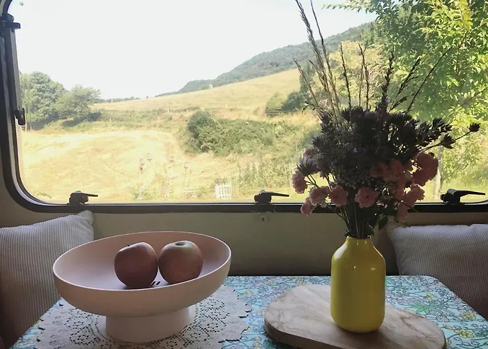 Aurinko : Caravane Avec Bain Nordique Gasthuis 3*