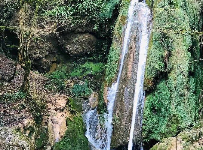 Aurinko : Caravane Avec Bain Nordique Roquefort-Les-Cascades
