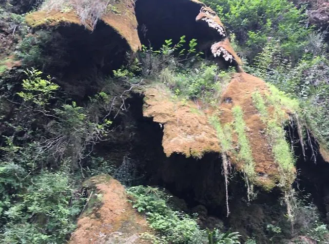 Aurinko : Caravane Avec Bain Nordique