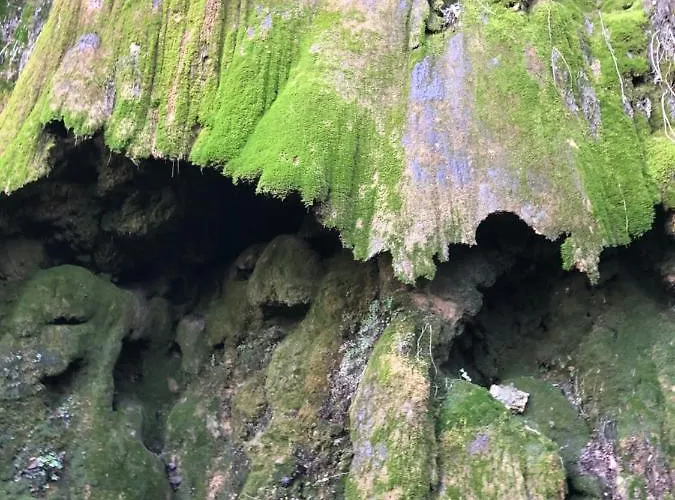 Aurinko : Caravane Avec Bain Nordique Gasthuis 3*