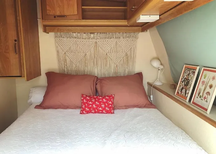 Aurinko : Caravane Avec Bain Nordique Gasthuis 3*