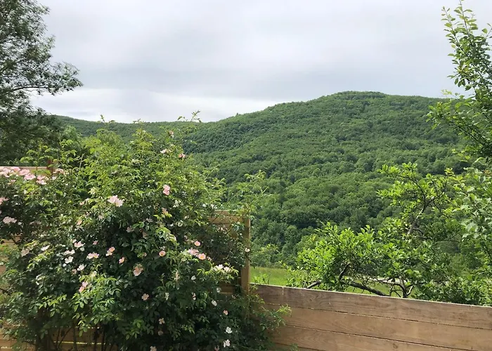 Aurinko : Caravane Avec Bain Nordique 3*